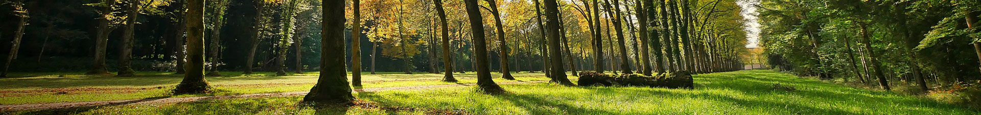 <p>Qui sommes-nous</p>